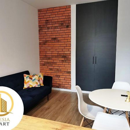 Apartament Ceglany 타이치 외부 사진